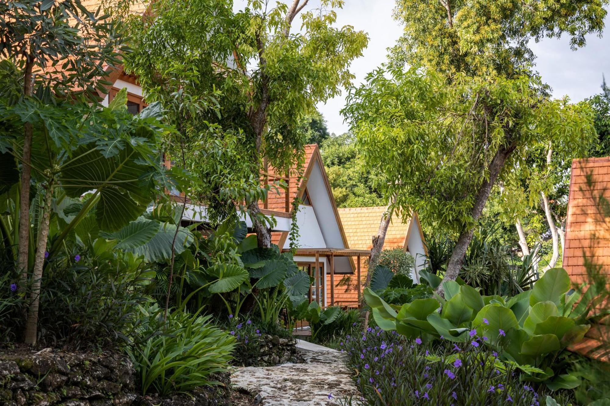 Deep Roots Dive & Yoga Resort Ped Exterior photo