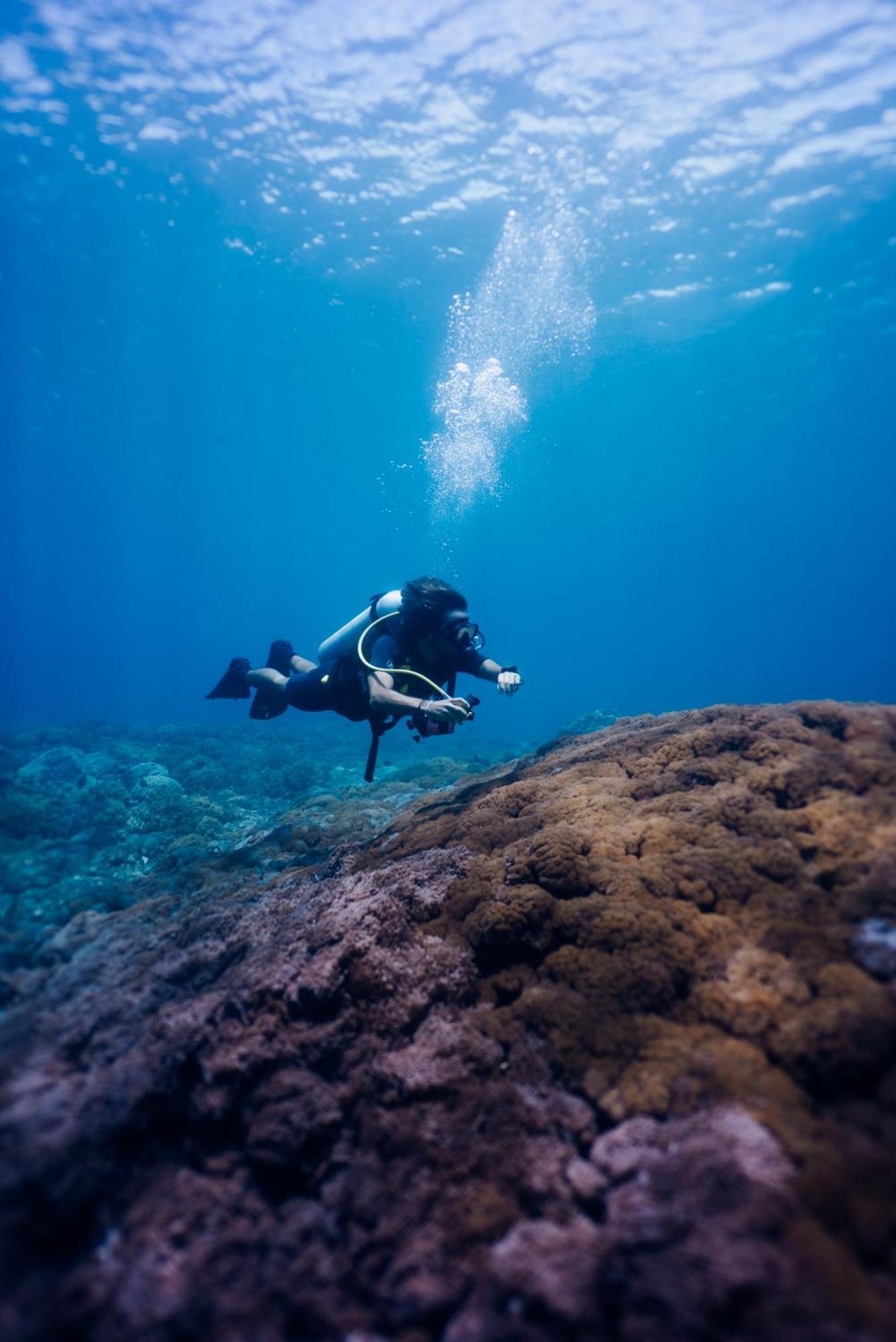 Deep Roots Dive & Yoga Resort Ped Exterior photo